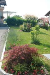 Dilce 5 (4)